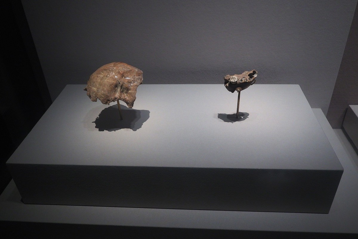 山西博物院 ⑶《文明摇篮》