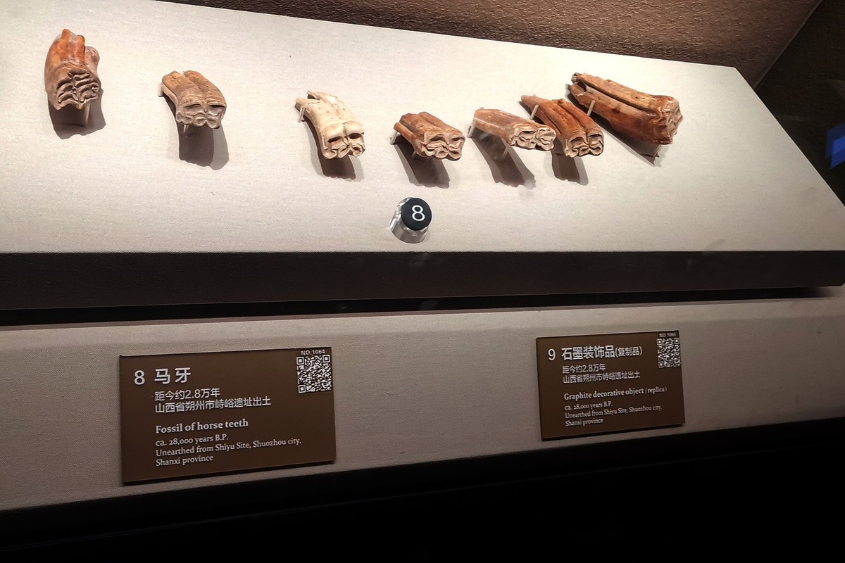 山西博物院 ⑶《文明摇篮》