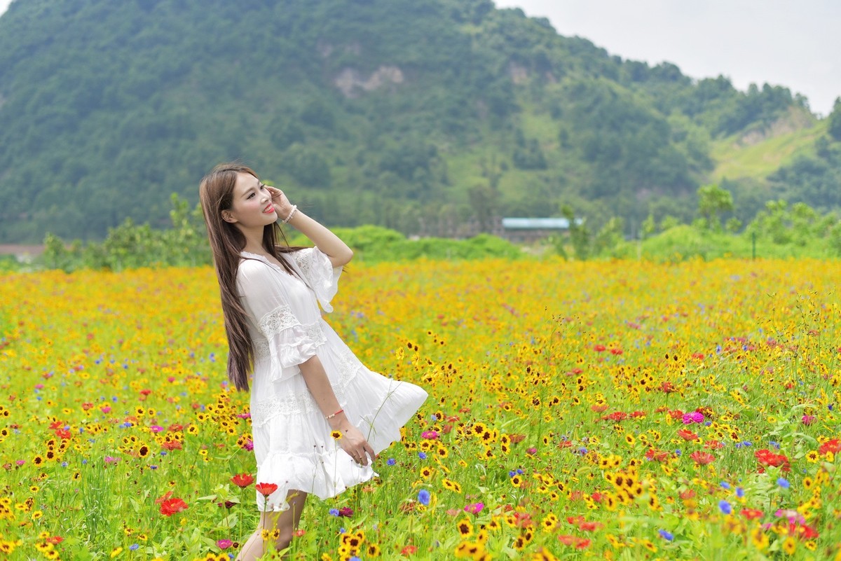 俄木塘花海 （1）