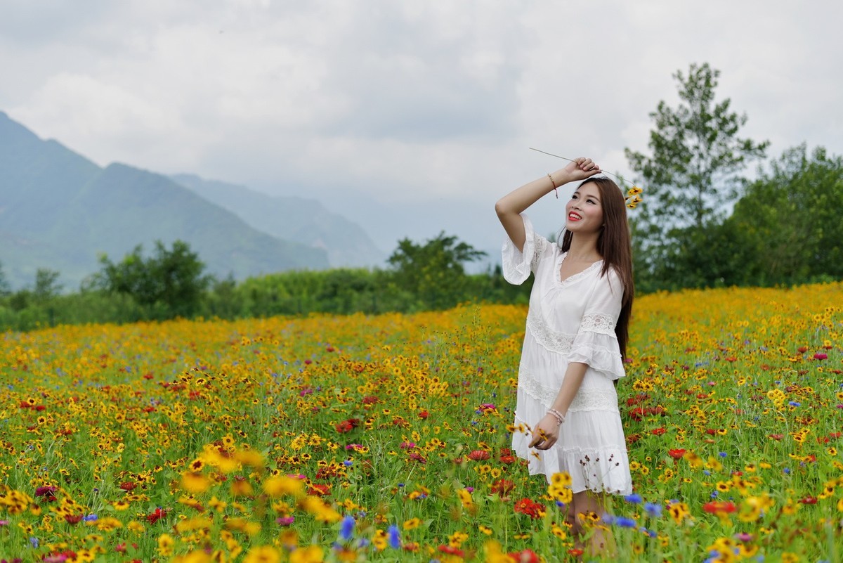 俄木塘花海 （1）