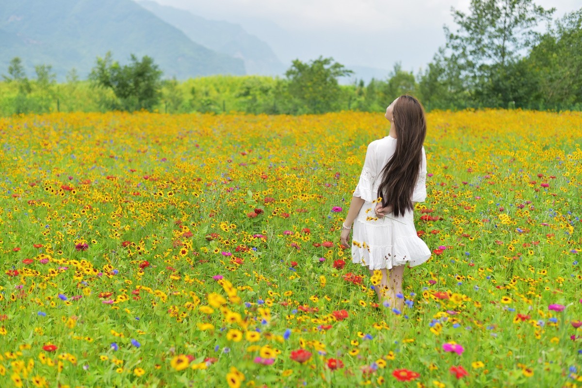 俄木塘花海 （1）