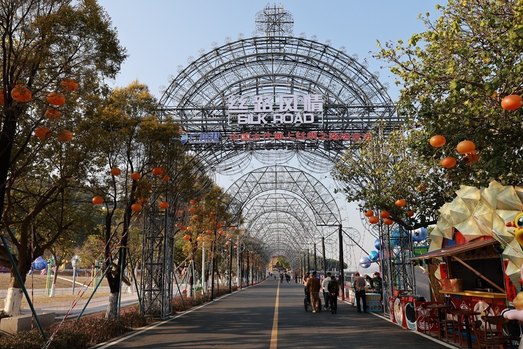 2025年粤港澳大湾区灯会日景