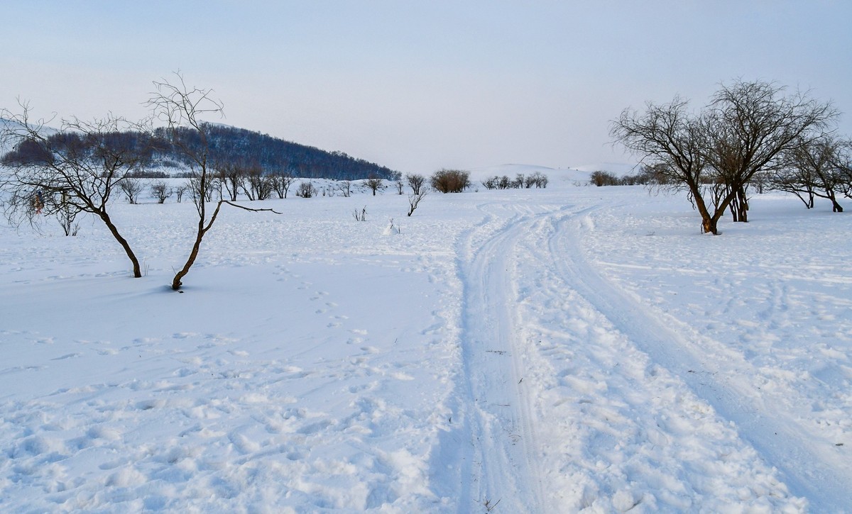 我只是把出去看到的随手记录下来（八十）