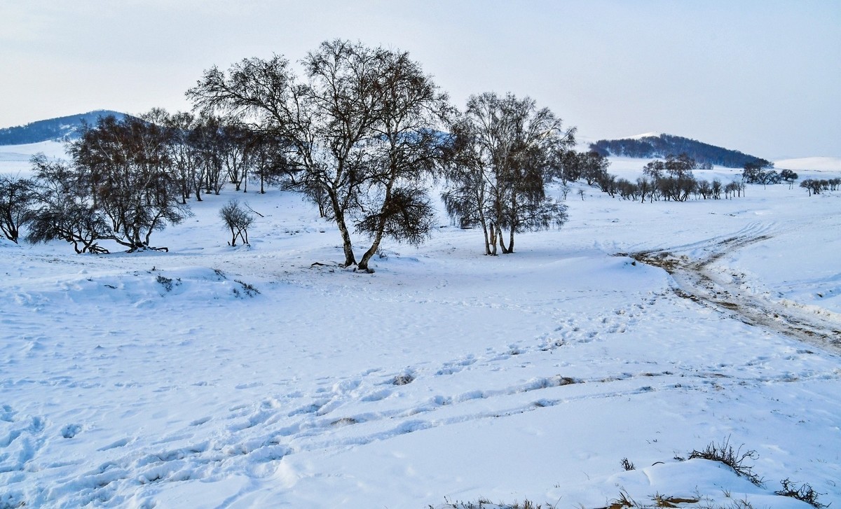 我只是把出去看到的随手记录下来（八十）