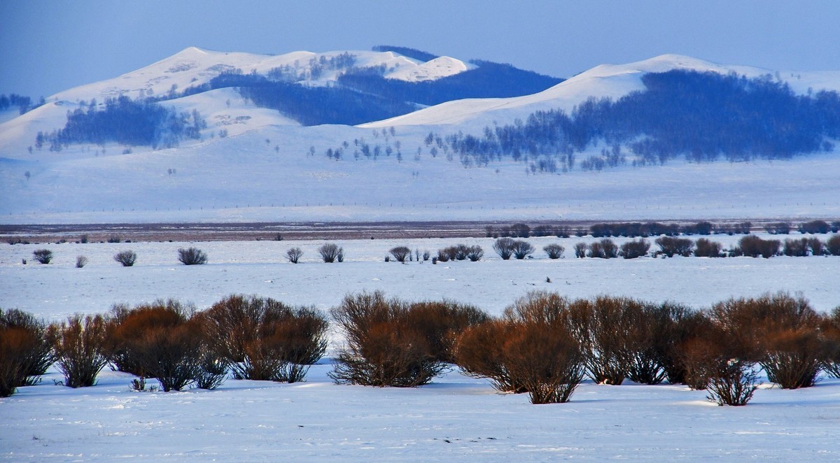我只是把出去看到的随手记录下来（八十）