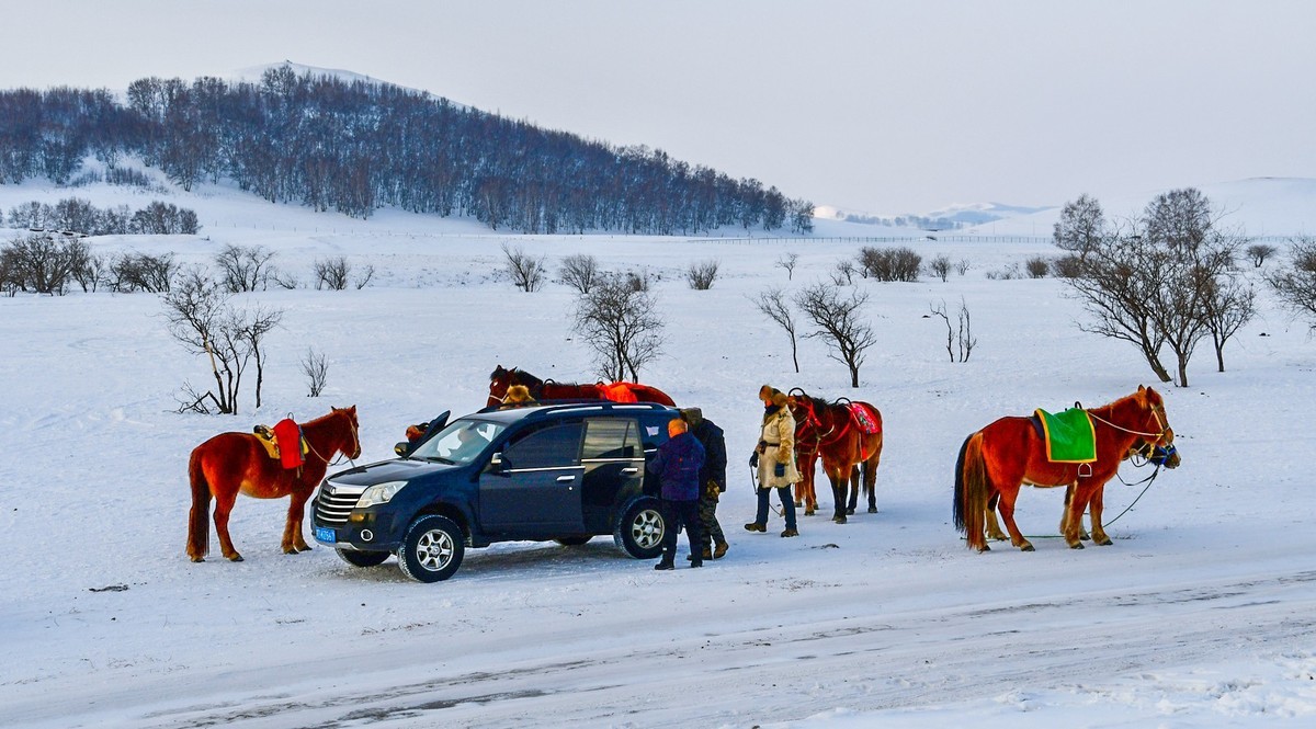 我只是把出去看到的随手记录下来（八十）