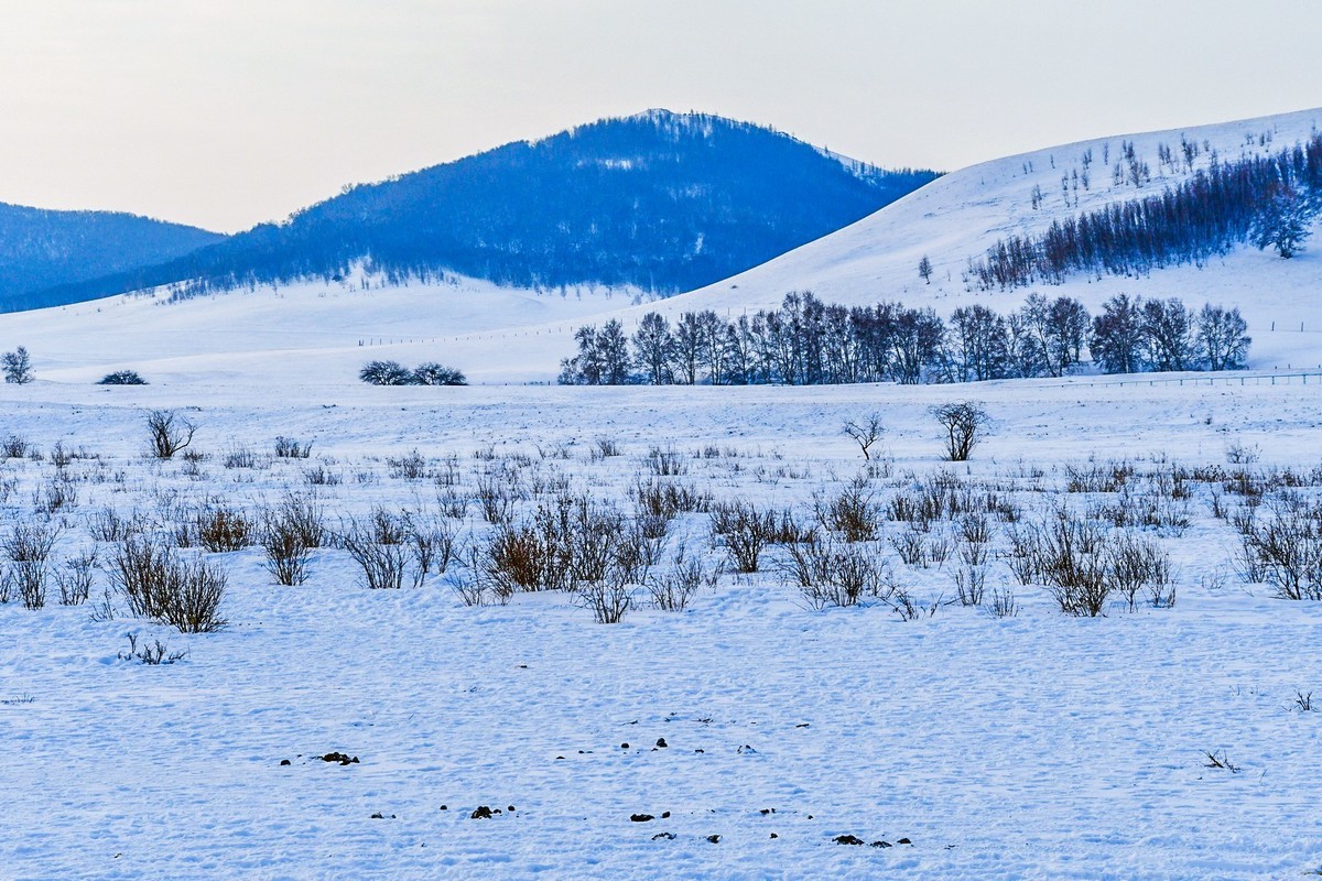 我只是把出去看到的随手记录下来（八十）