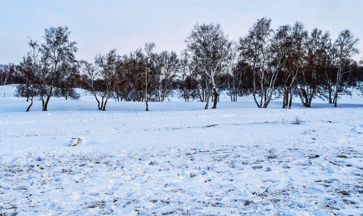 我只是把出去看到的随手记录下来（八十）