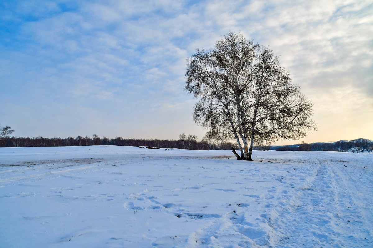 我只是把出去看到的随手记录下来（八十）