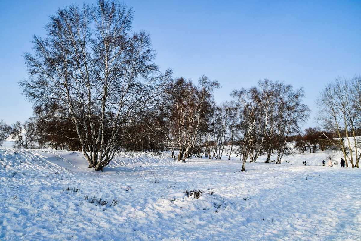 我只是把出去看到的随手记录下来（八十）