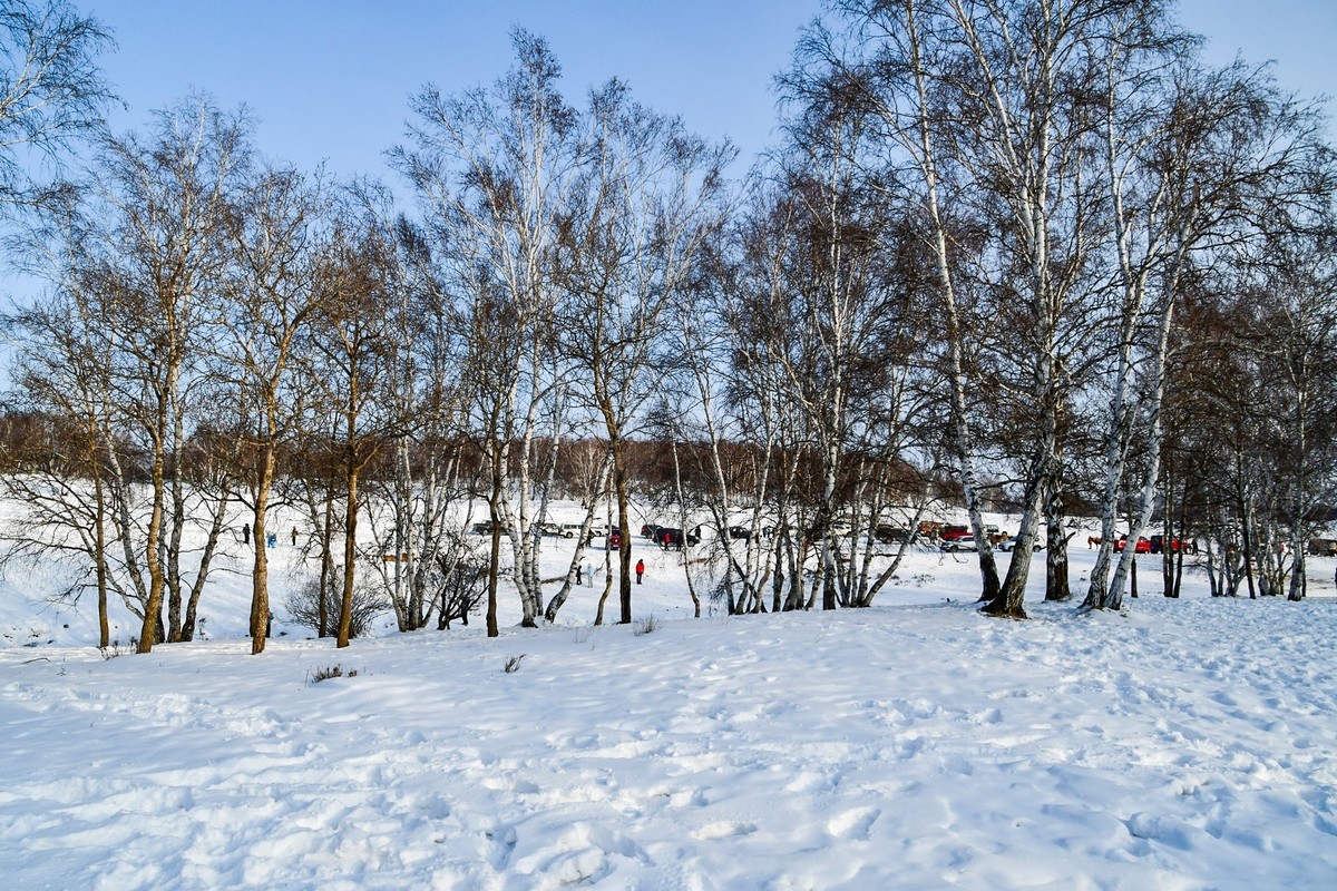 我只是把出去看到的随手记录下来（八十）