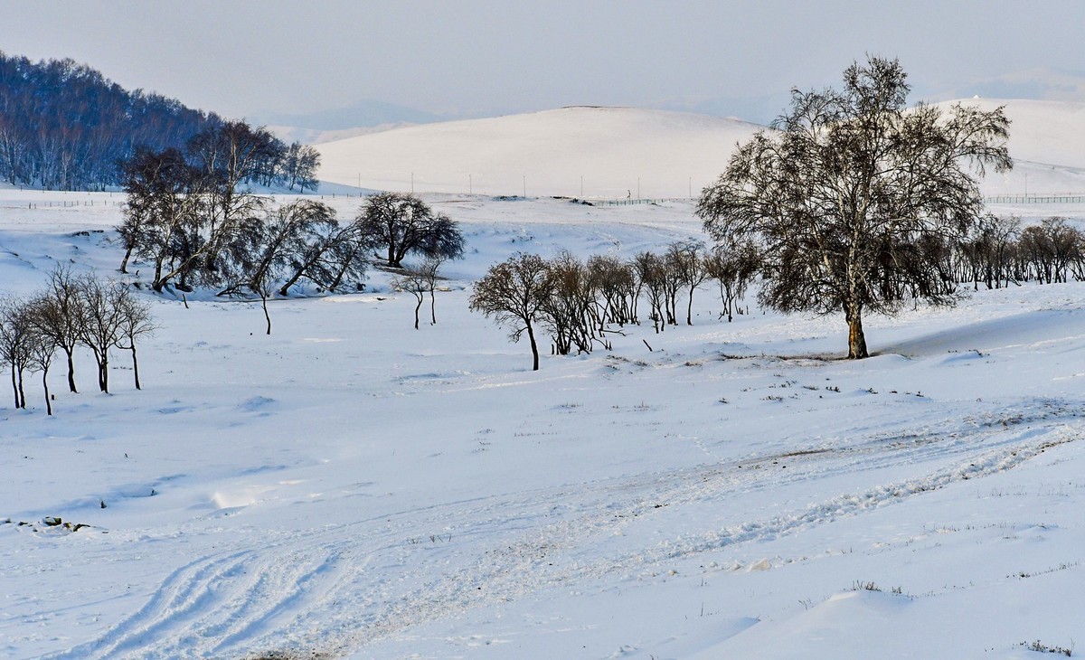 我只是把出去看到的随手记录下来（八十）