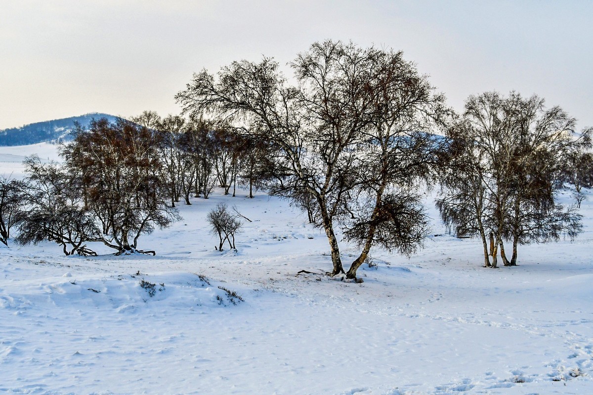 我只是把出去看到的随手记录下来（八十）