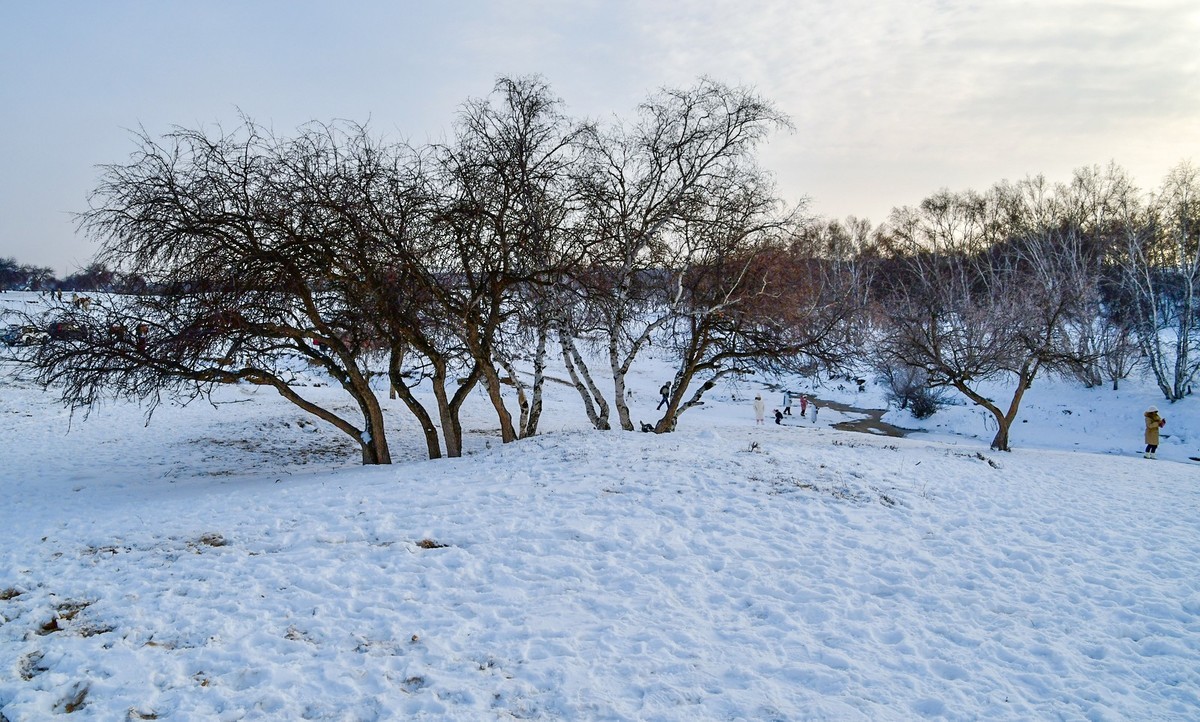 我只是把出去看到的随手记录下来（八十）