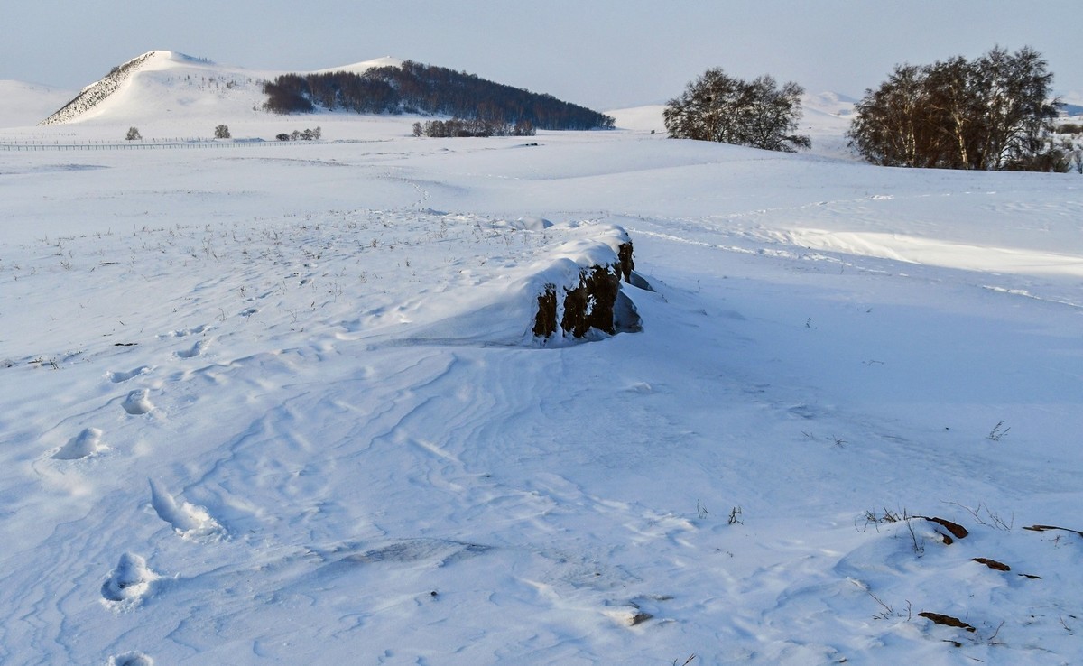 我只是把出去看到的随手记录下来（八十）