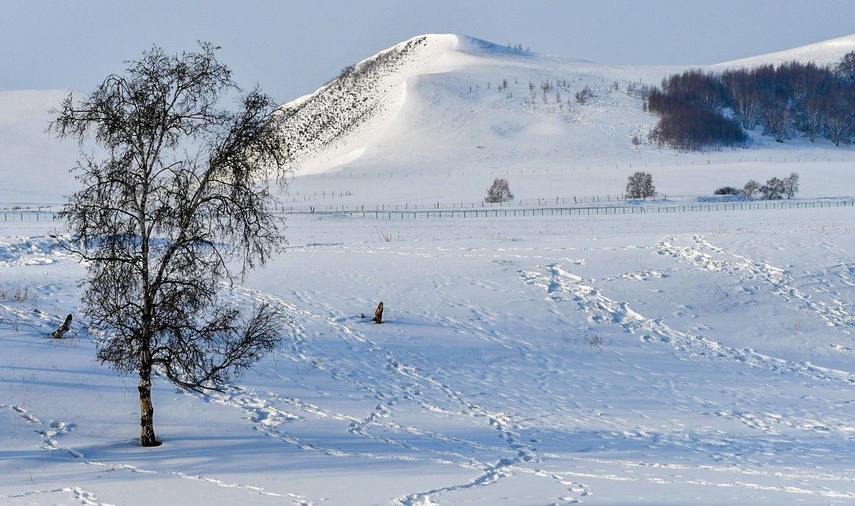 我只是把出去看到的随手记录下来（八十）