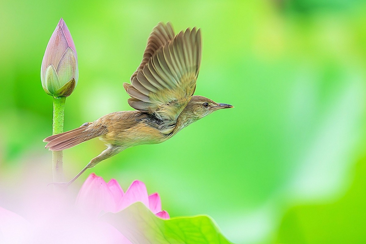 且行且看且从容，且停且忘且随风。