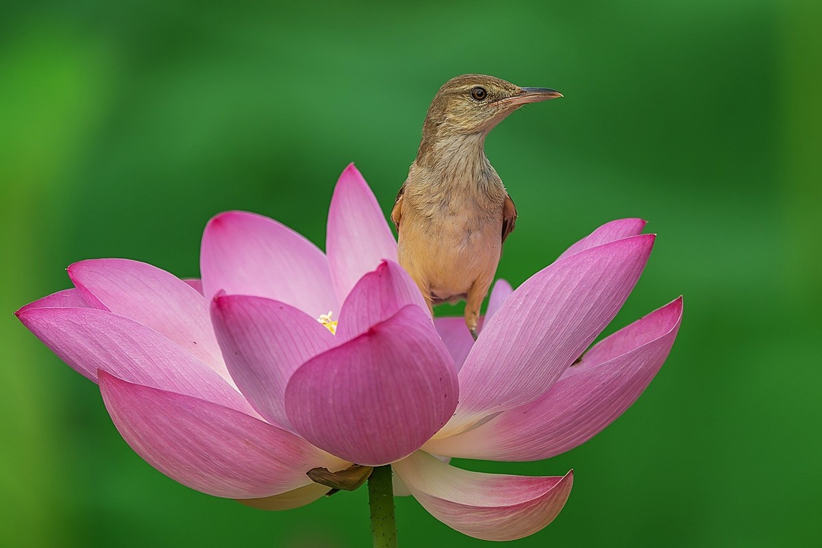 且行且看且从容，且停且忘且随风。