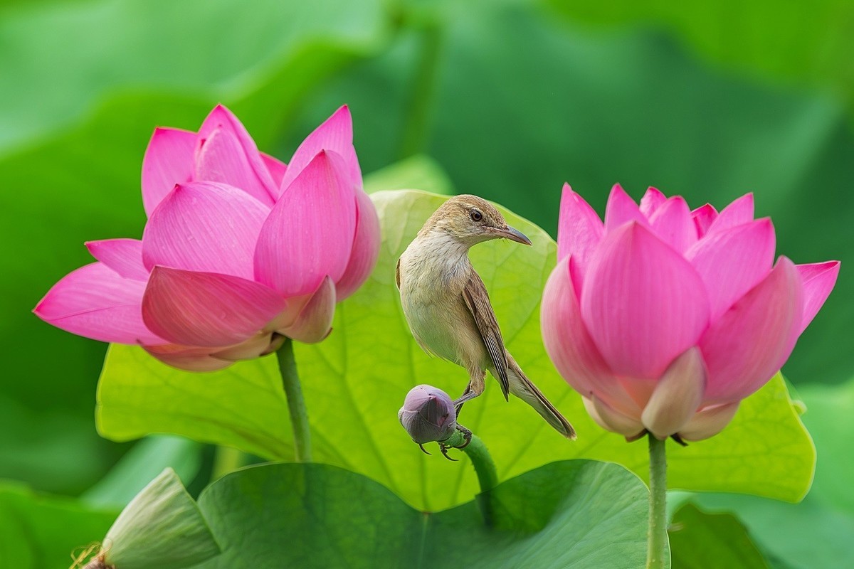 且行且看且从容，且停且忘且随风。