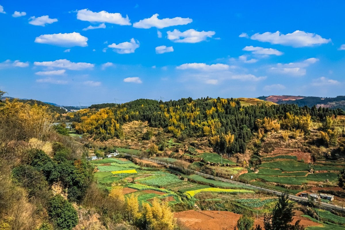 秀美锦屏山（一）