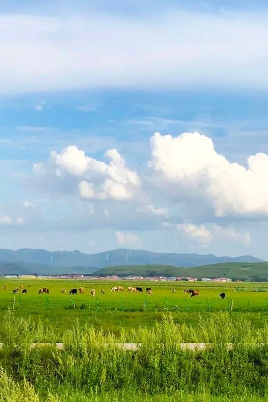 四月芳菲醒 | 来京北草原，探大汗行宫千年风
