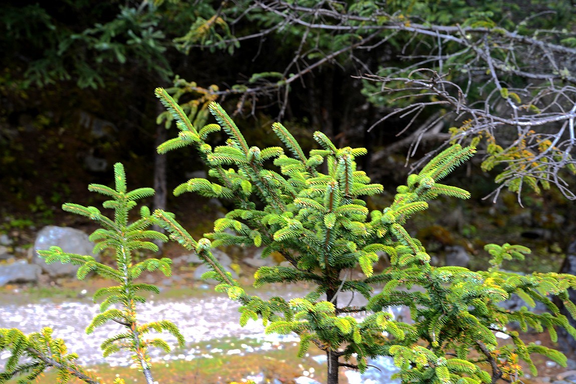 行走在318国道--初探月亮湖【3】