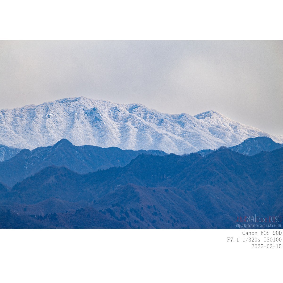 秦岭雪