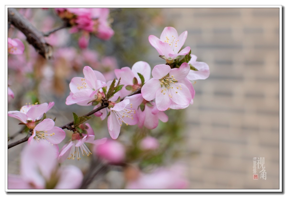 很久没发片，凑个热闹