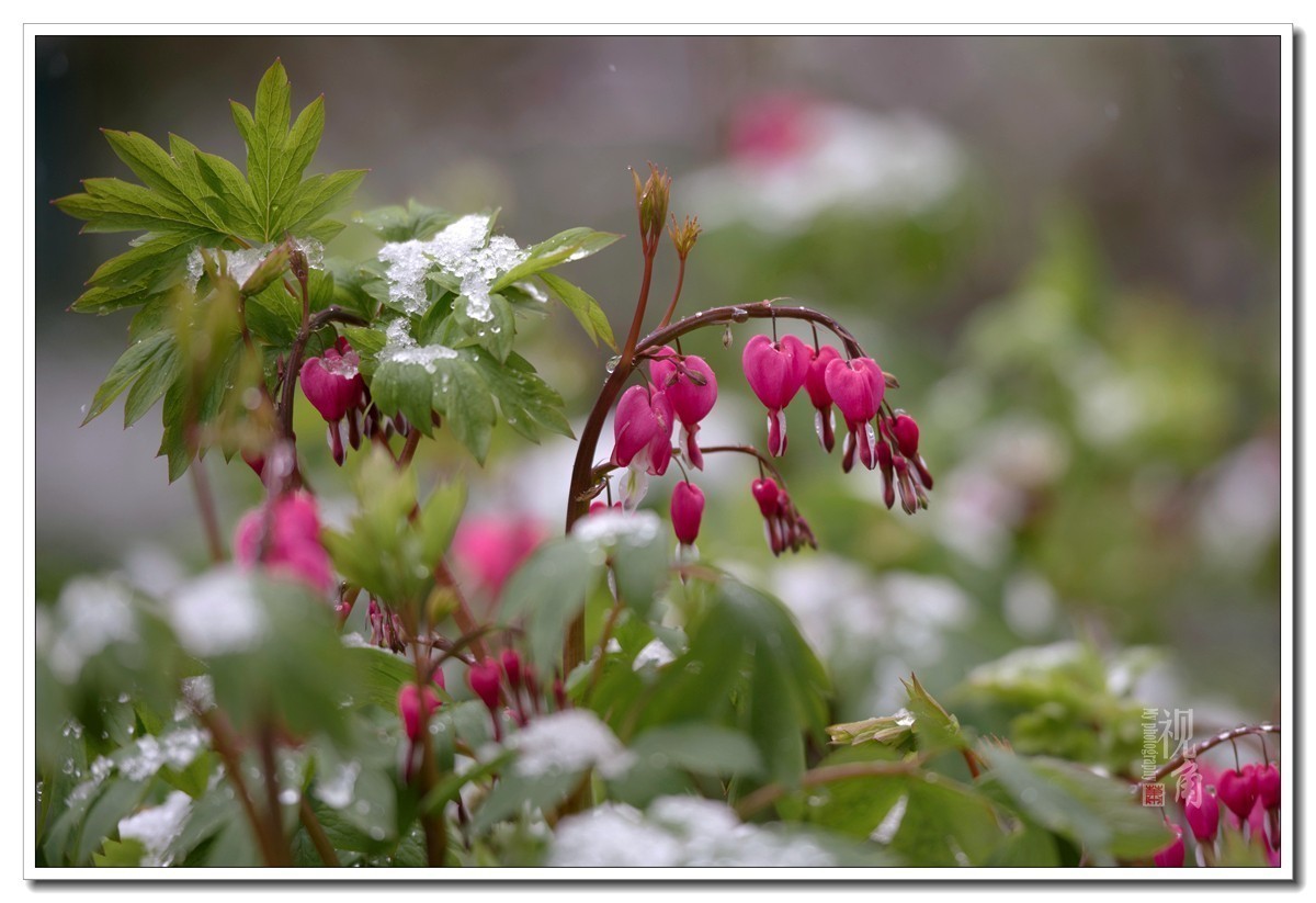 很久没发片，凑个热闹