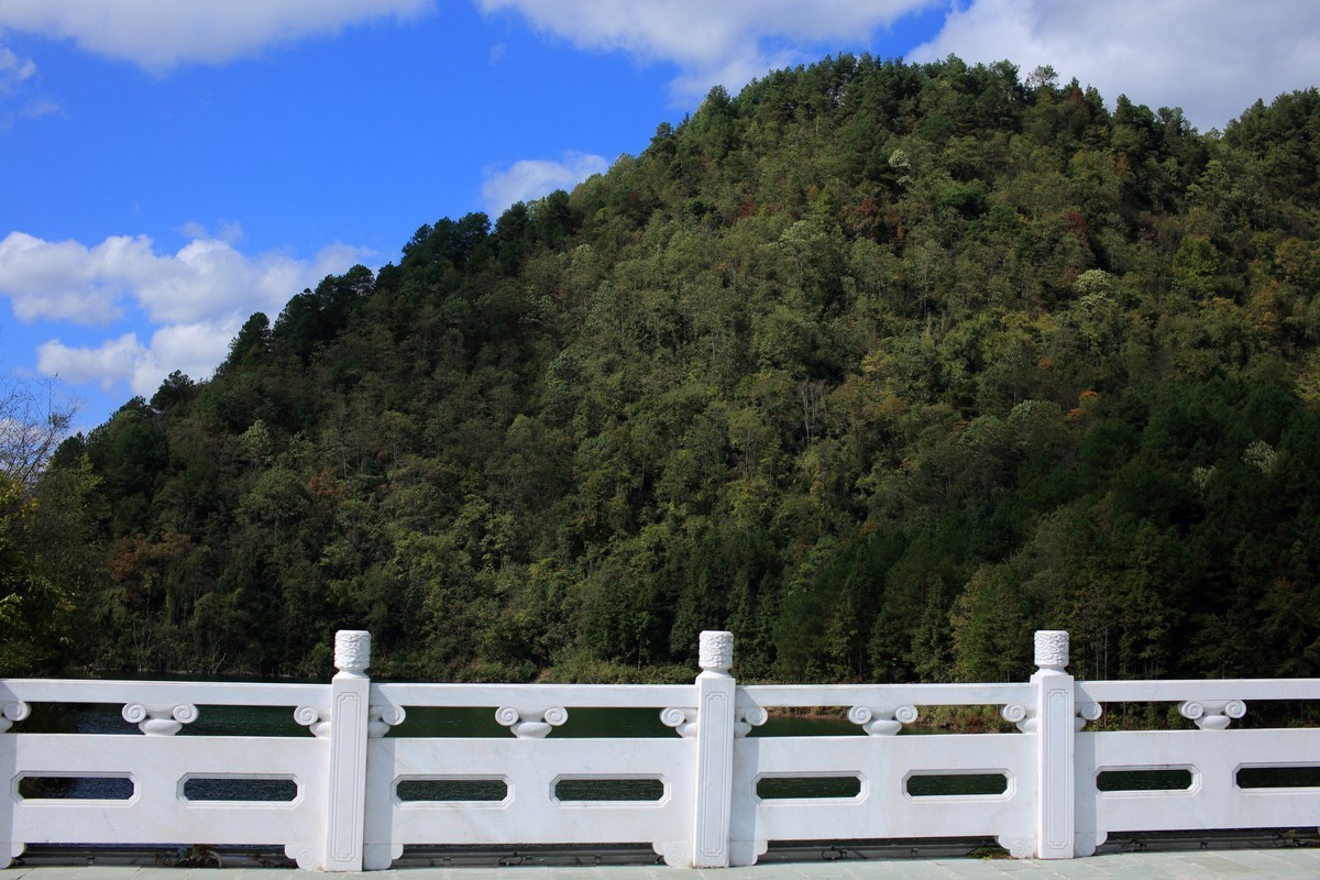 走马观花都匀绿博园（壹）