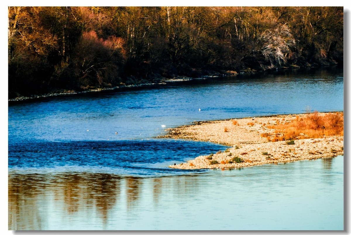 莱茵水暖“（天）鹅”先知