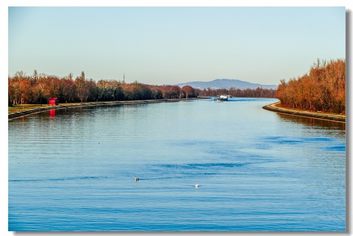 莱茵水暖“（天）鹅”先知