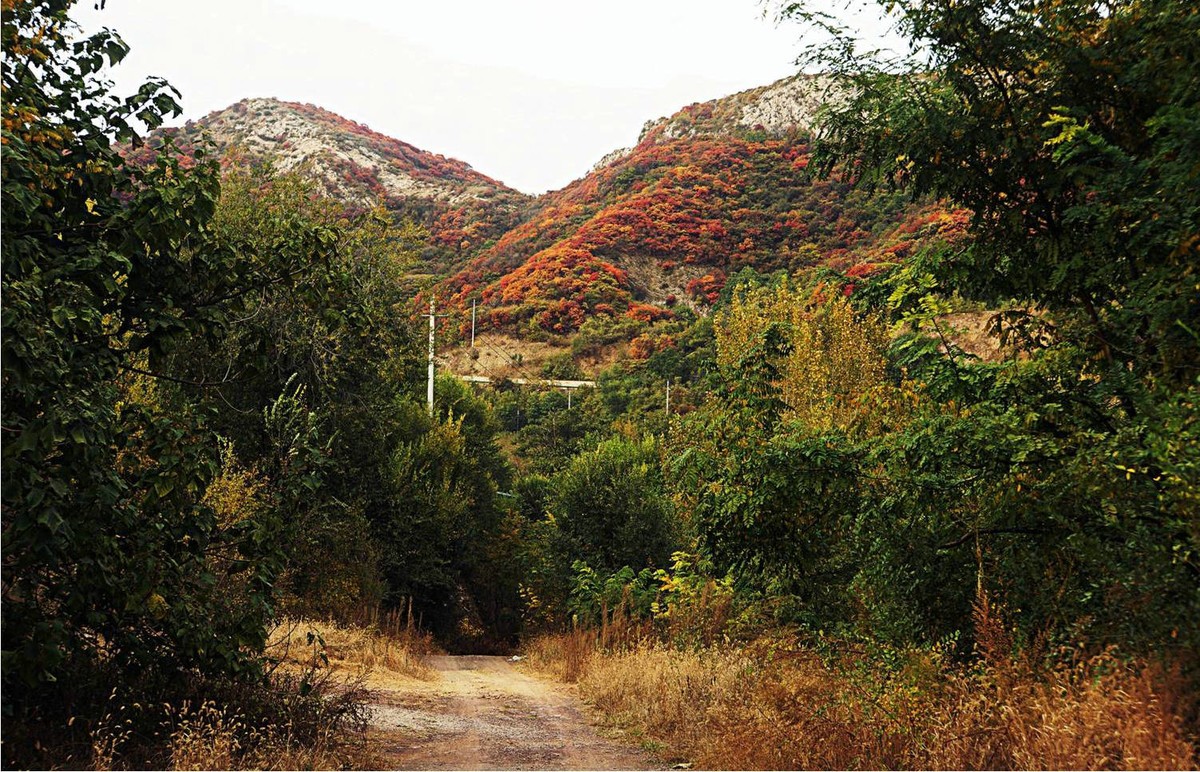 荒山野岭的红叶疯长呈现原生态的美