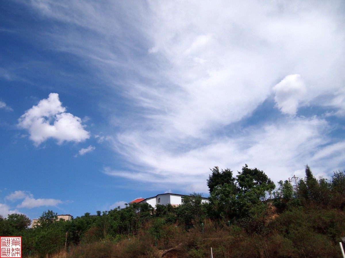 云南旅行路中随拍照（8）