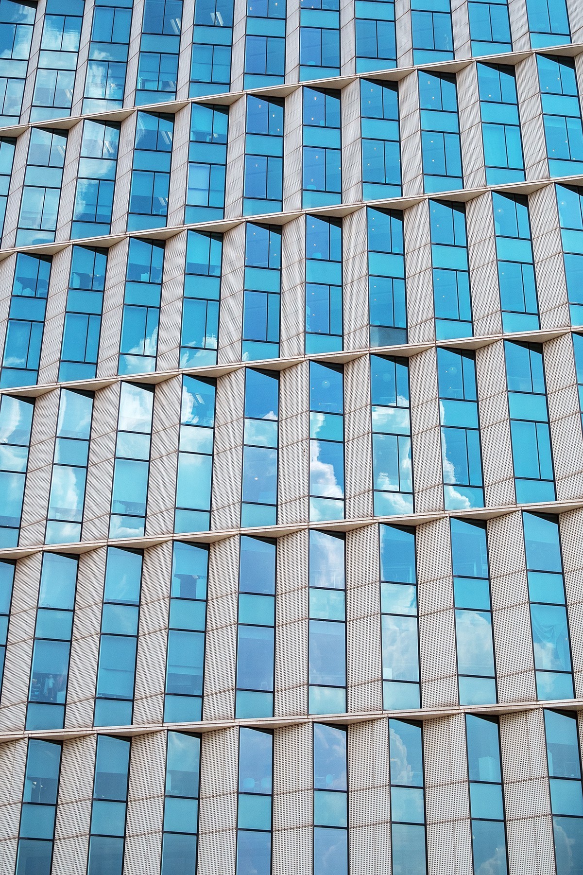 抓住夏天的尾巴