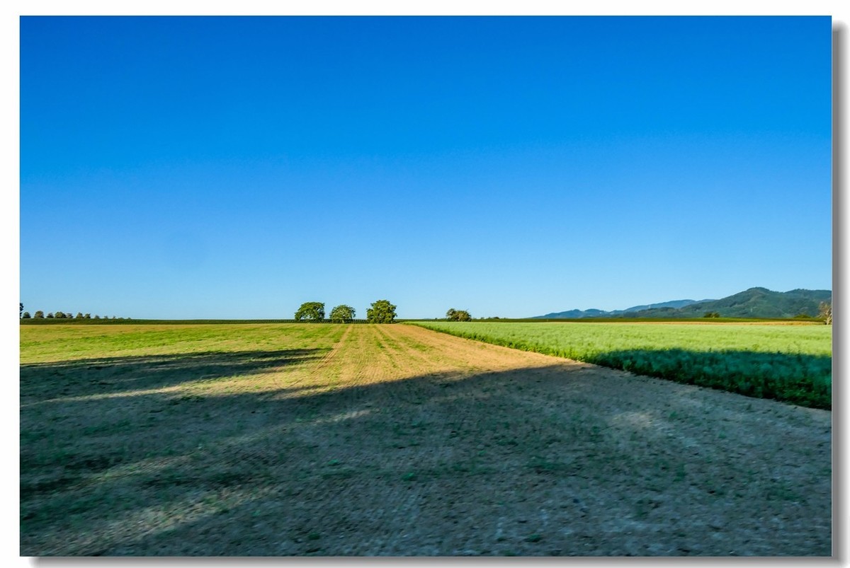 骑行游拍之“田野”