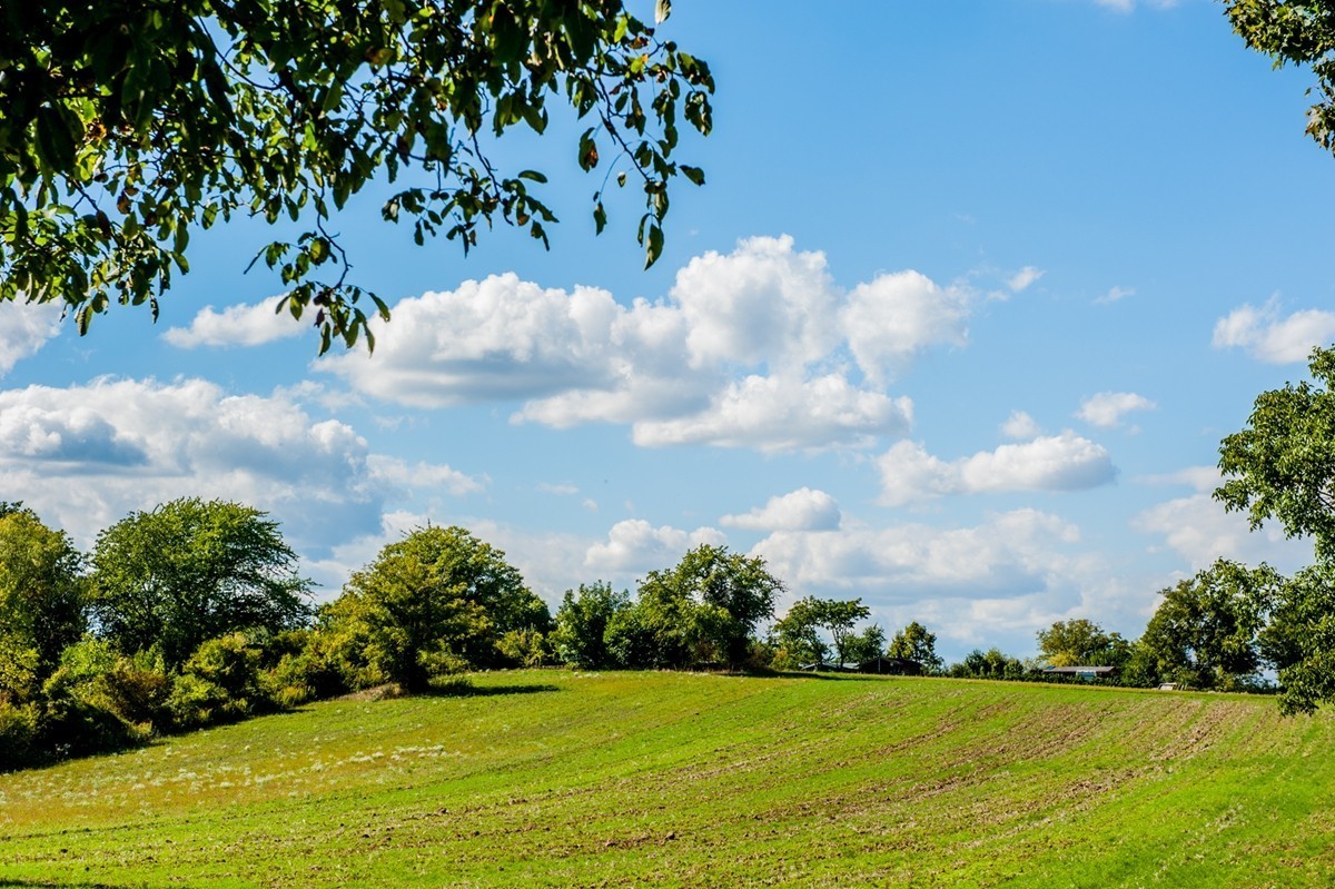 田园秋光（南德）