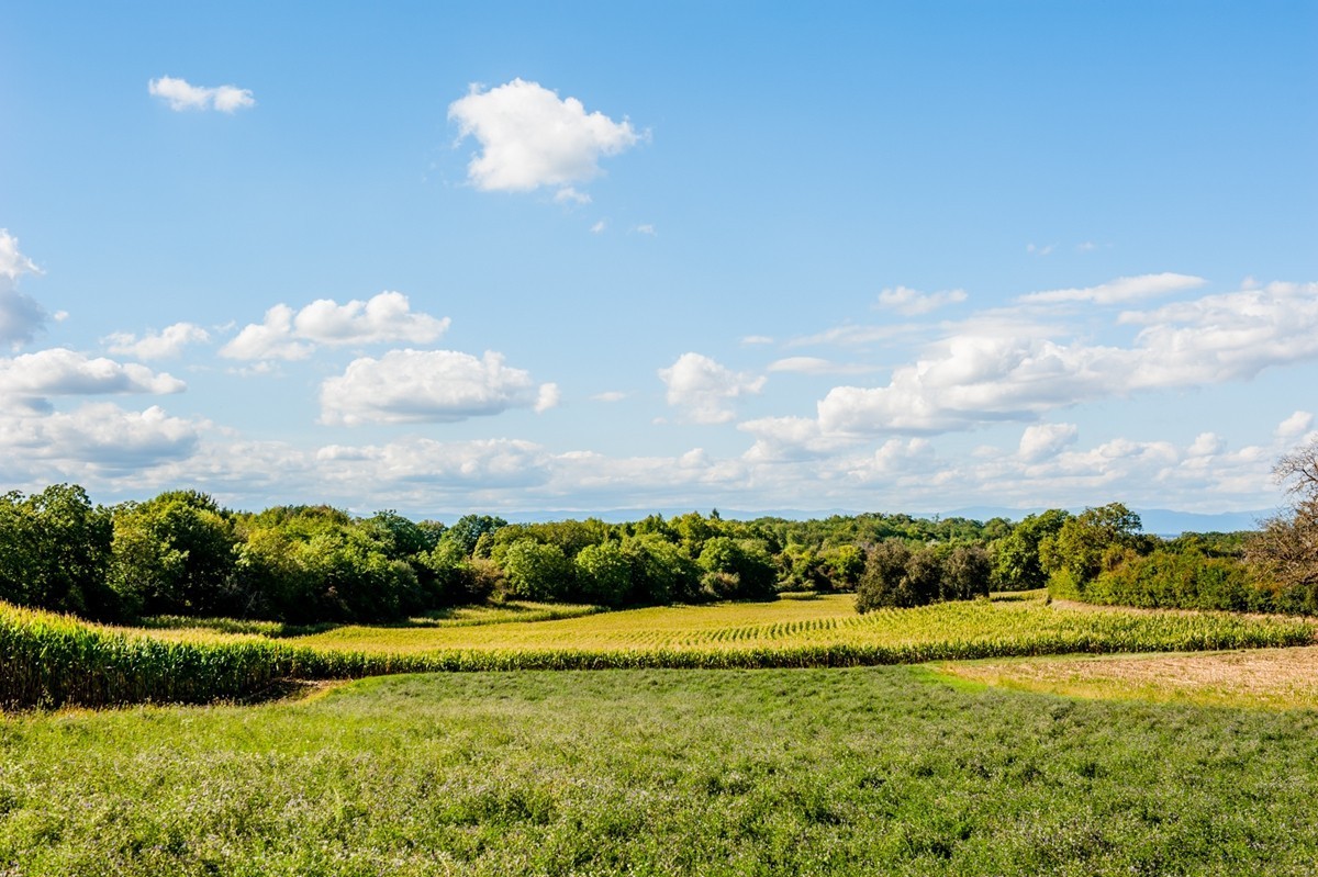 田园秋光（南德）