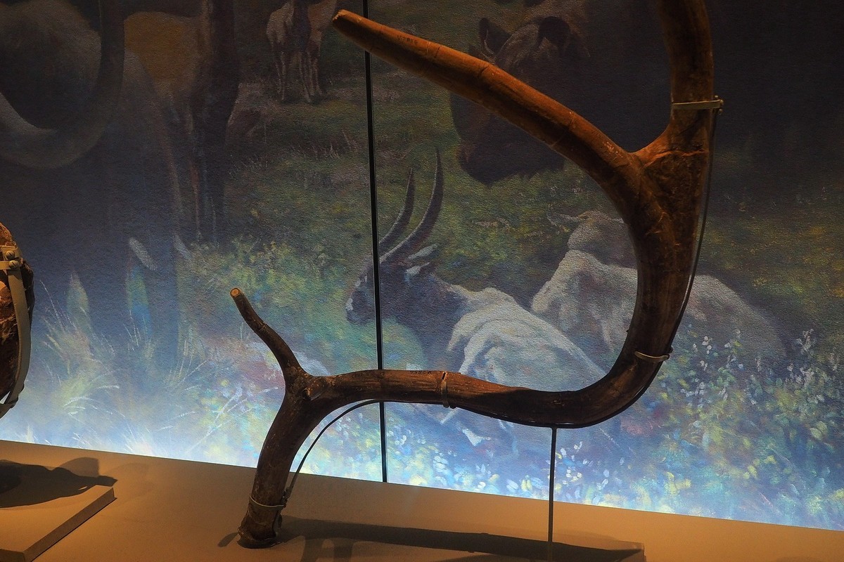 山西博物院 ⑶《文明摇篮》