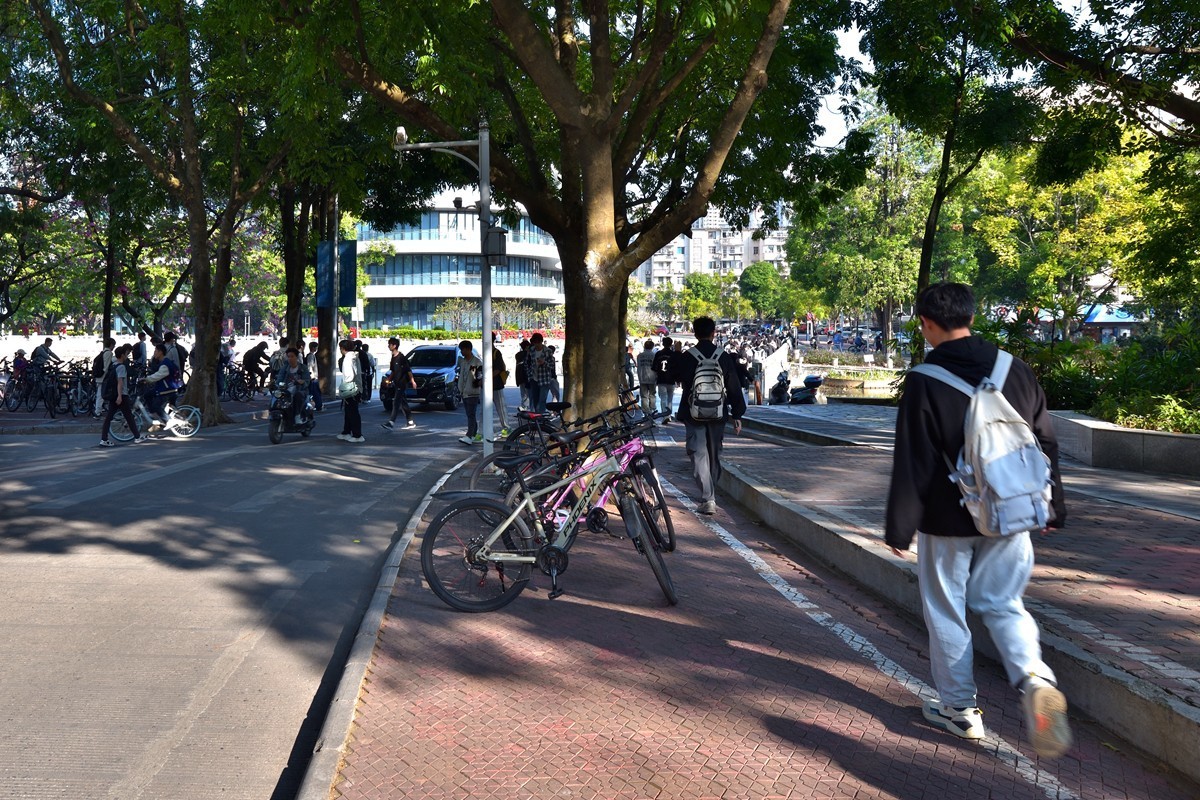 大学校园出行3