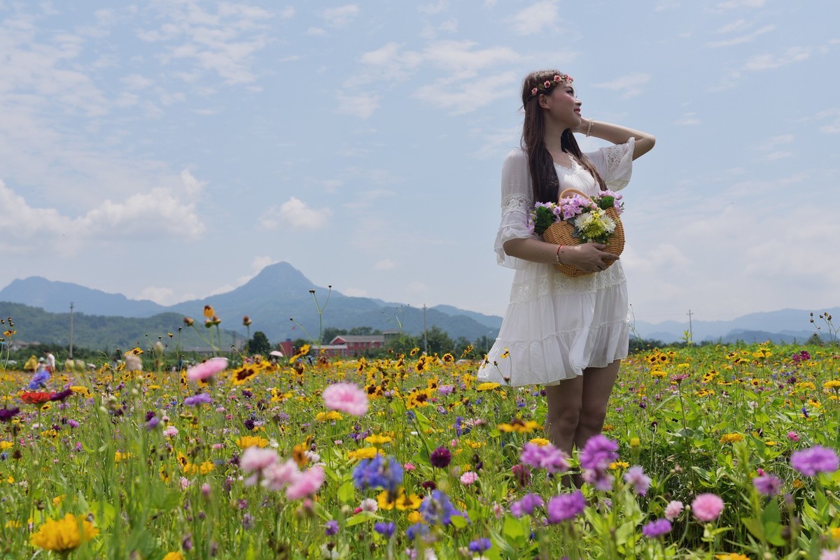 俄木塘花海 （1）
