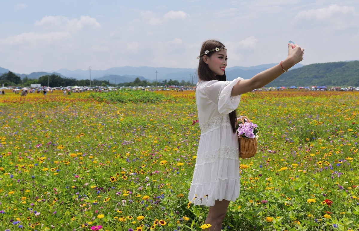 俄木塘花海 （1）