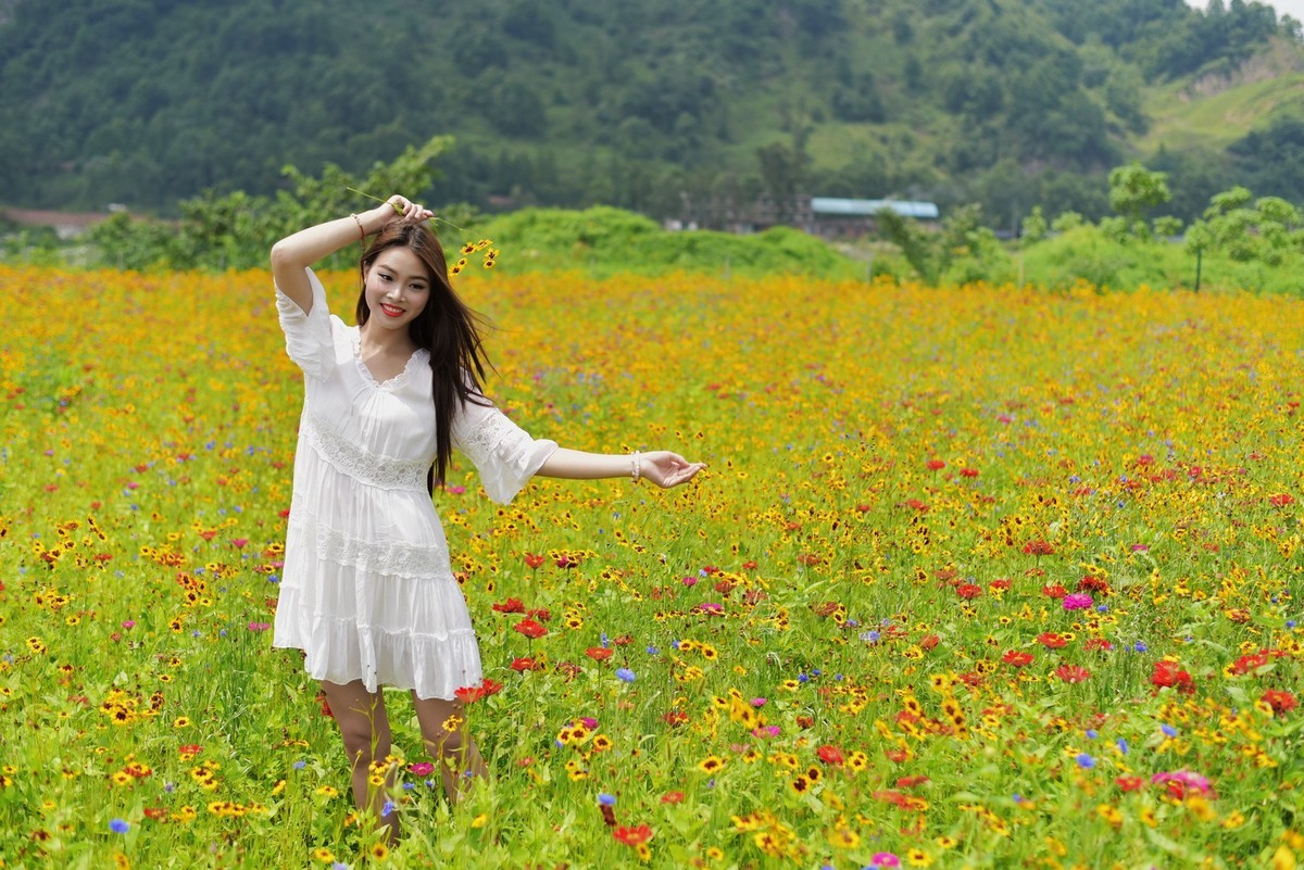 俄木塘花海 （1）