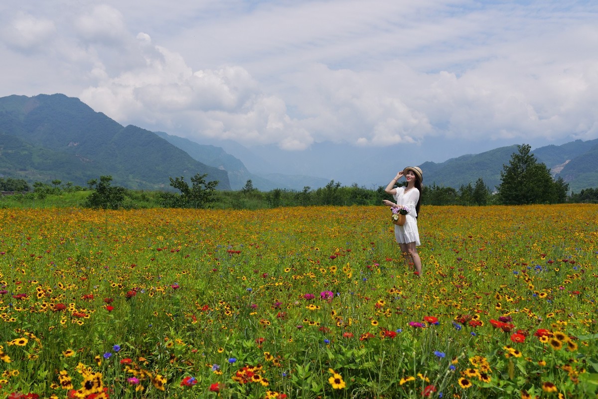 俄木塘花海 （1）