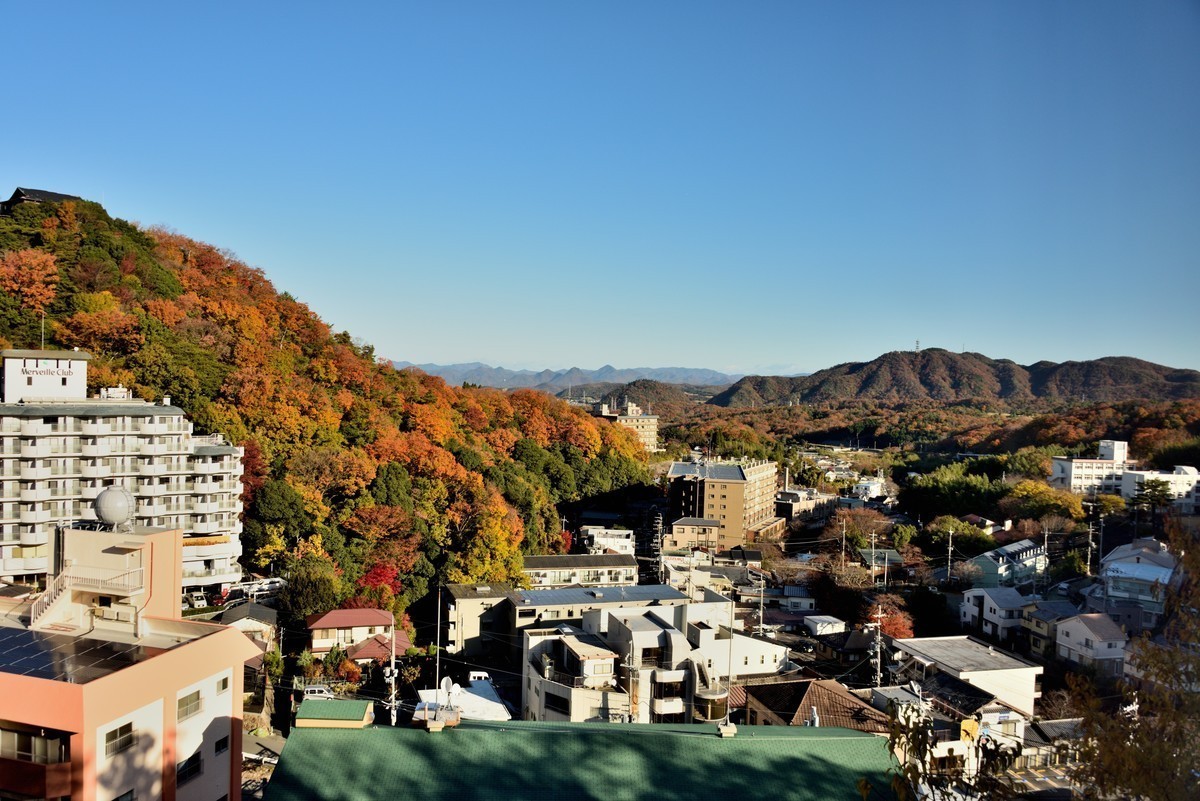 #版主坐堂#小五星空(中国)2022年1月精品荟萃