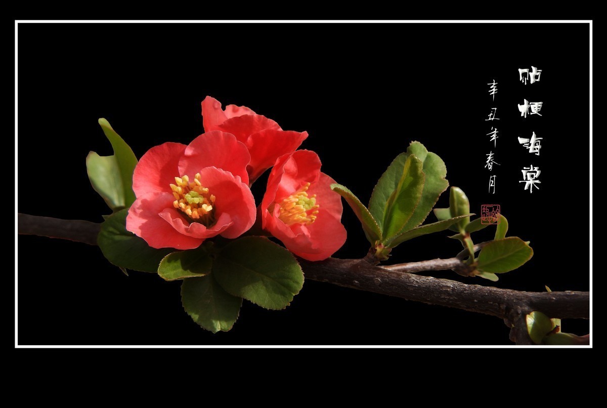 #版主坐堂#小五星空(中国)2022年1月精品荟萃