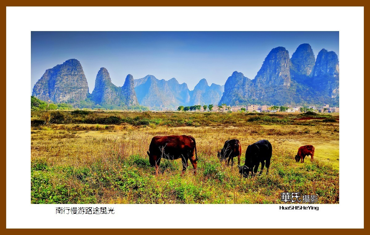 虎年赏旅途美景迎新春——祝福朋友们新春吉祥快乐