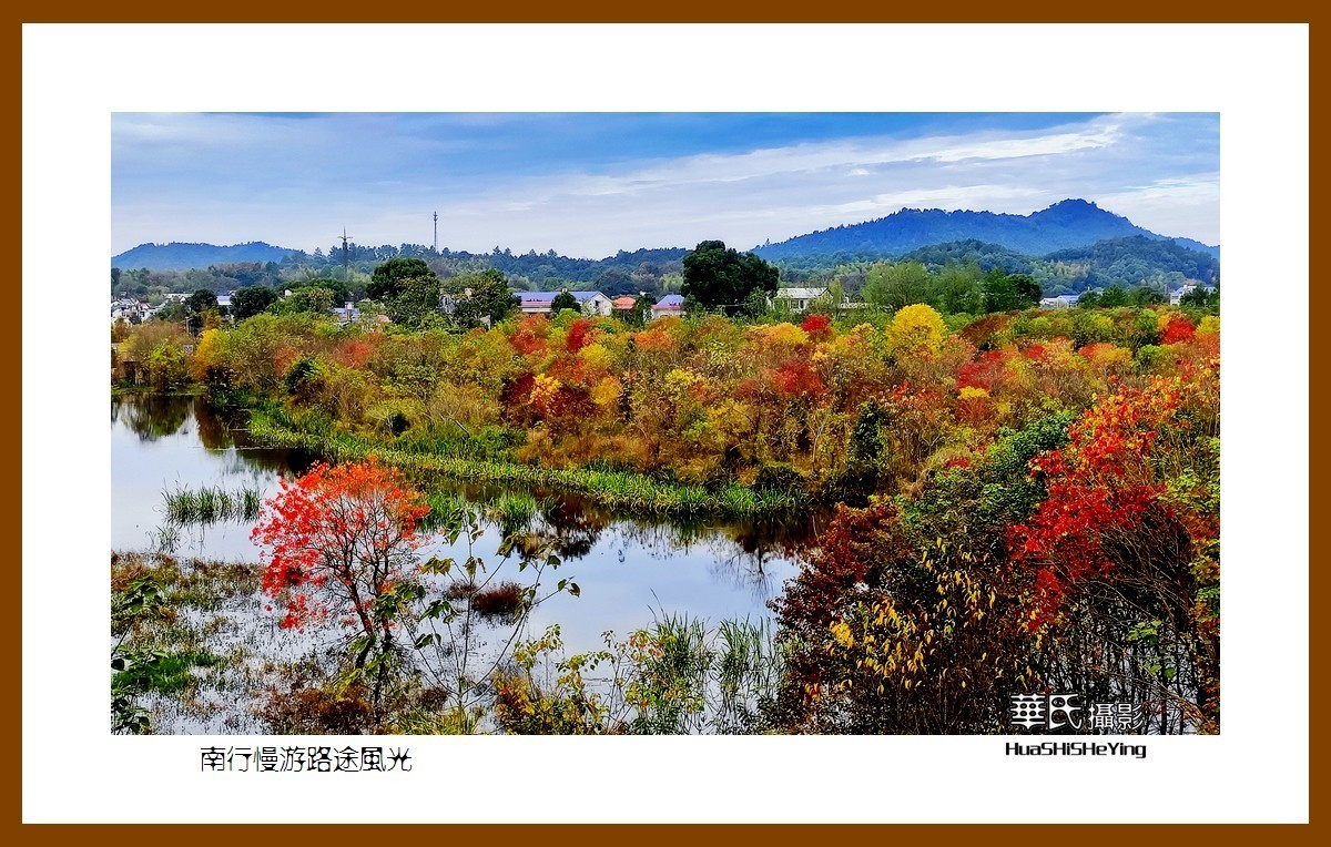 虎年赏旅途美景迎新春——祝福朋友们新春吉祥快乐