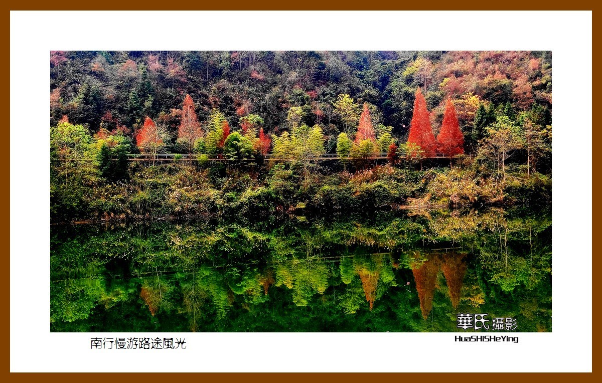 虎年赏旅途美景迎新春——祝福朋友们新春吉祥快乐