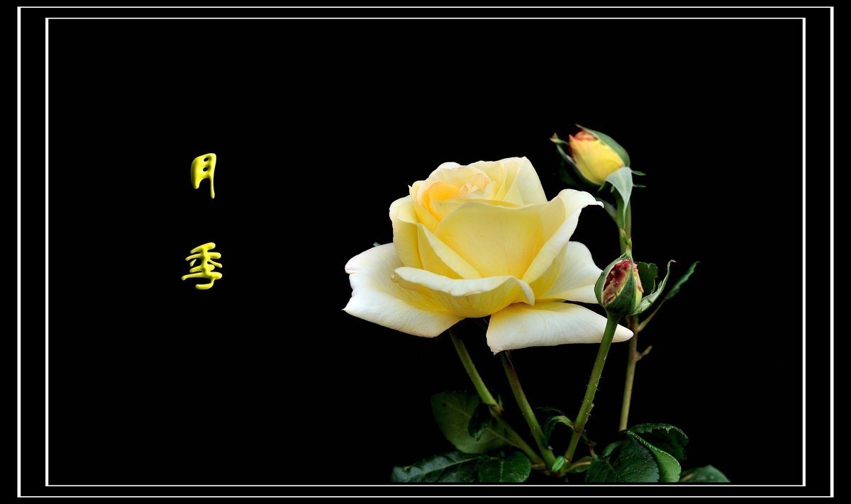 #版主坐堂#小五星空(中国)2022年11月精品荟萃